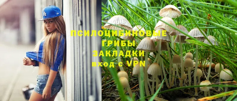 Галлюциногенные грибы MAGIC MUSHROOMS Дятьково